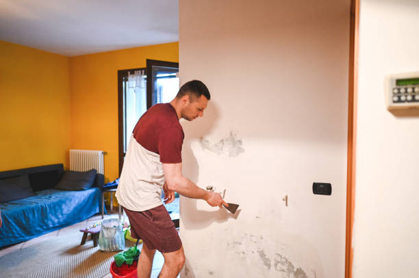 Reliable Sidney, NE Mold Remediation Solutions